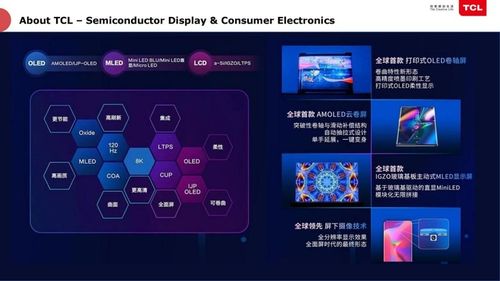 TCL俞大海 半導體工廠的智能化轉(zhuǎn)型，如何實現(xiàn)千萬級資產(chǎn)投資管理的優(yōu)化與節(jié)省
